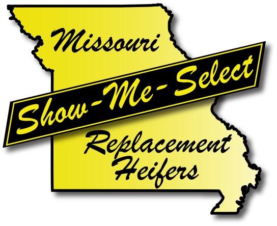 Managing Your Show-Me Select Replacement Heifers Your investment in the Show-Me-Select program signifies a commitment to improving the genetic quality and reproductive efficiency of your beef herd.