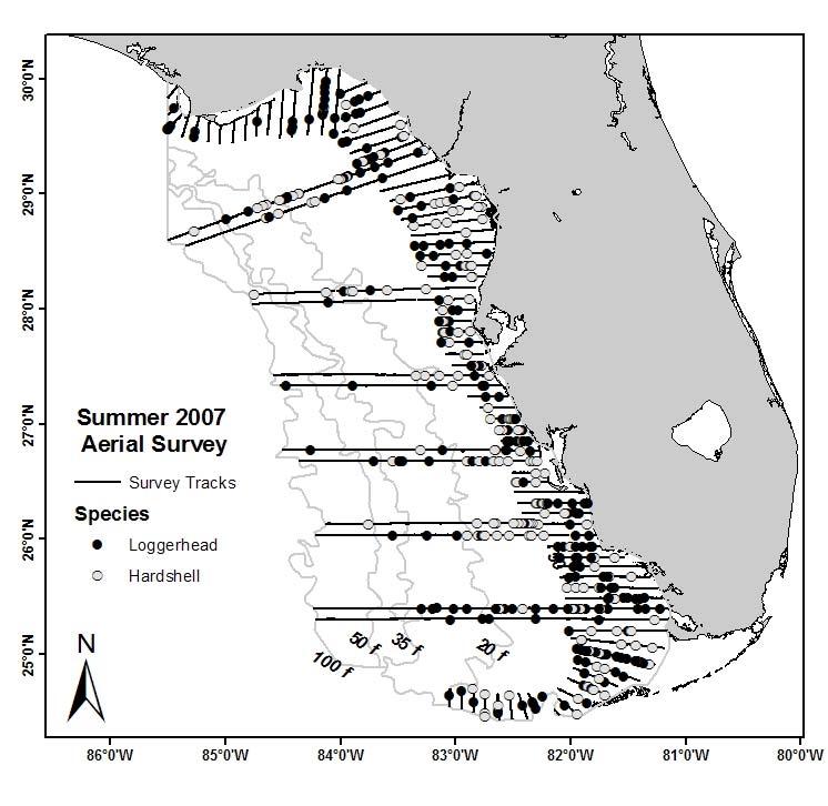 Figure 2. Survey effort and turtle sightings east of 85.