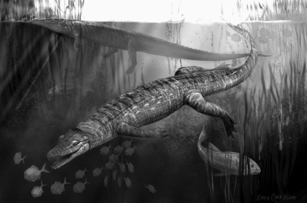 ROGERS PROCOEOUS CROCODYIFORM FROM TEXAS 4 FIGURE 2. ife reconstruction of Pachycheilosuchus. Original art by Karen Carr.