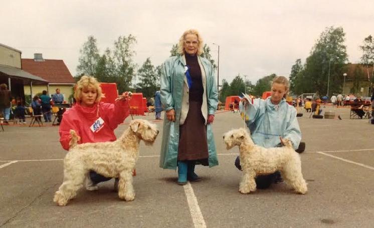 CIB Geijes Kilmore & CIB Holmenocks Honey Bee BOS & BOB under Gitta Ringwall, Finland 1990 Another special dog is Ballysax Betsy, who started out as an ugly duckling and grew