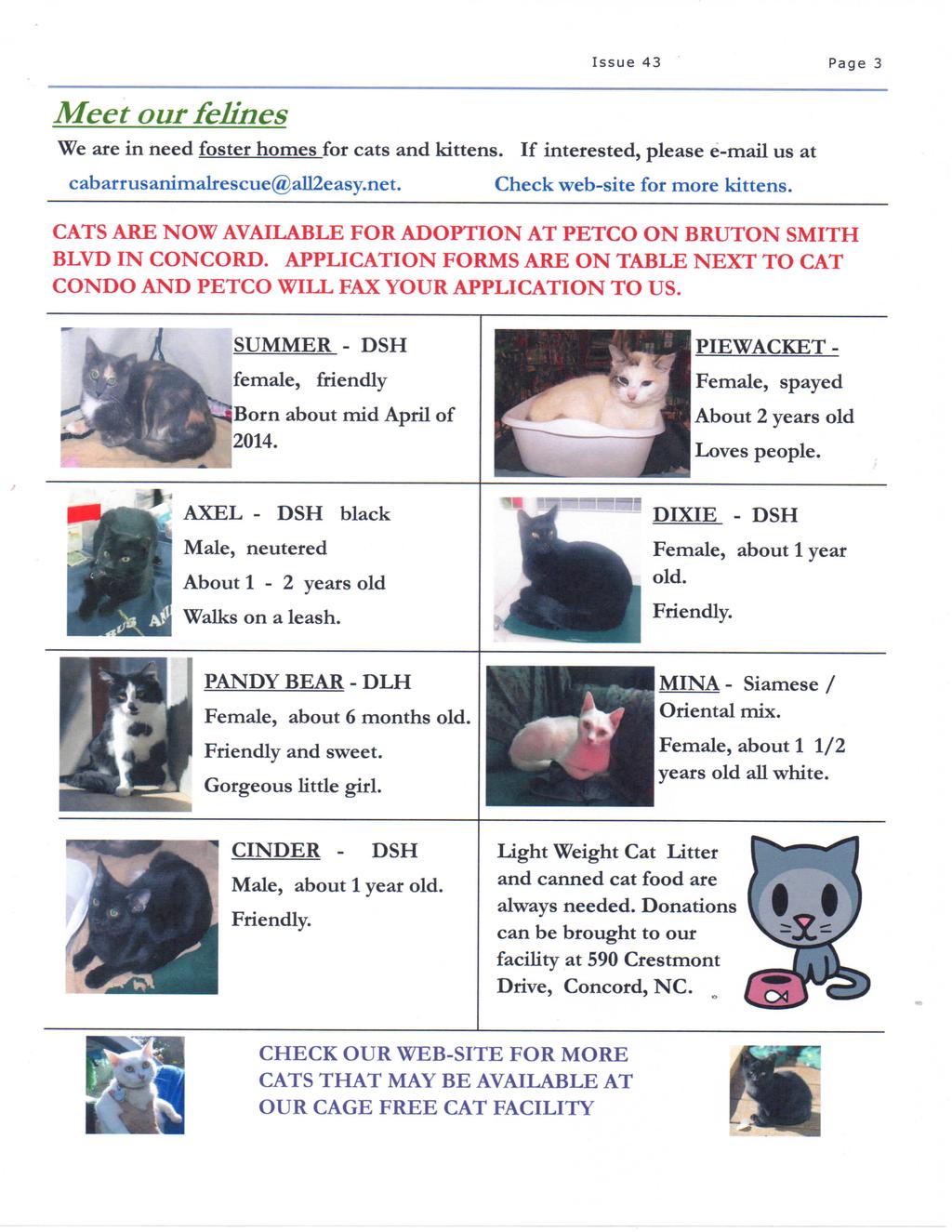 Meet our felines Issue 43 Page 3 We are in need foster homes for cats and kittens. If interested, please e-mail us at cabarrusanimalrescue@all2easy.net. Check web-site for more kittens.
