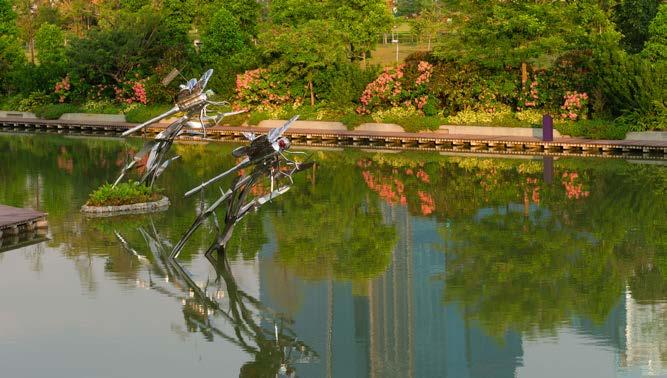 8) to take in and let out air through the nose or mouth (p. 8) The dragonfly park in Singapore has large statues of dragonflies in the lake. direction (n.