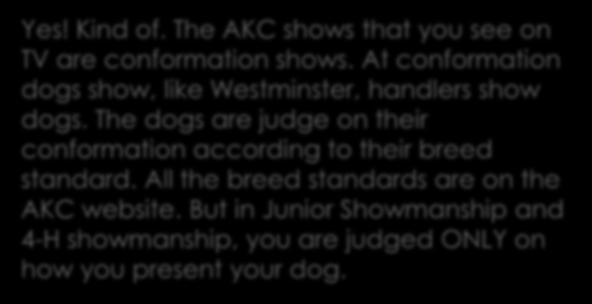 Is it the way you see on TV? Yes! Kind of. The AKC shows that you see on TV are conformation shows.