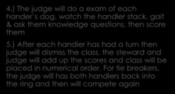 ) All the handlers in each class will enter the ring by arm band number 2.