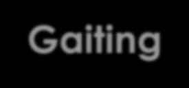 Gaiting Gaiting is the term for