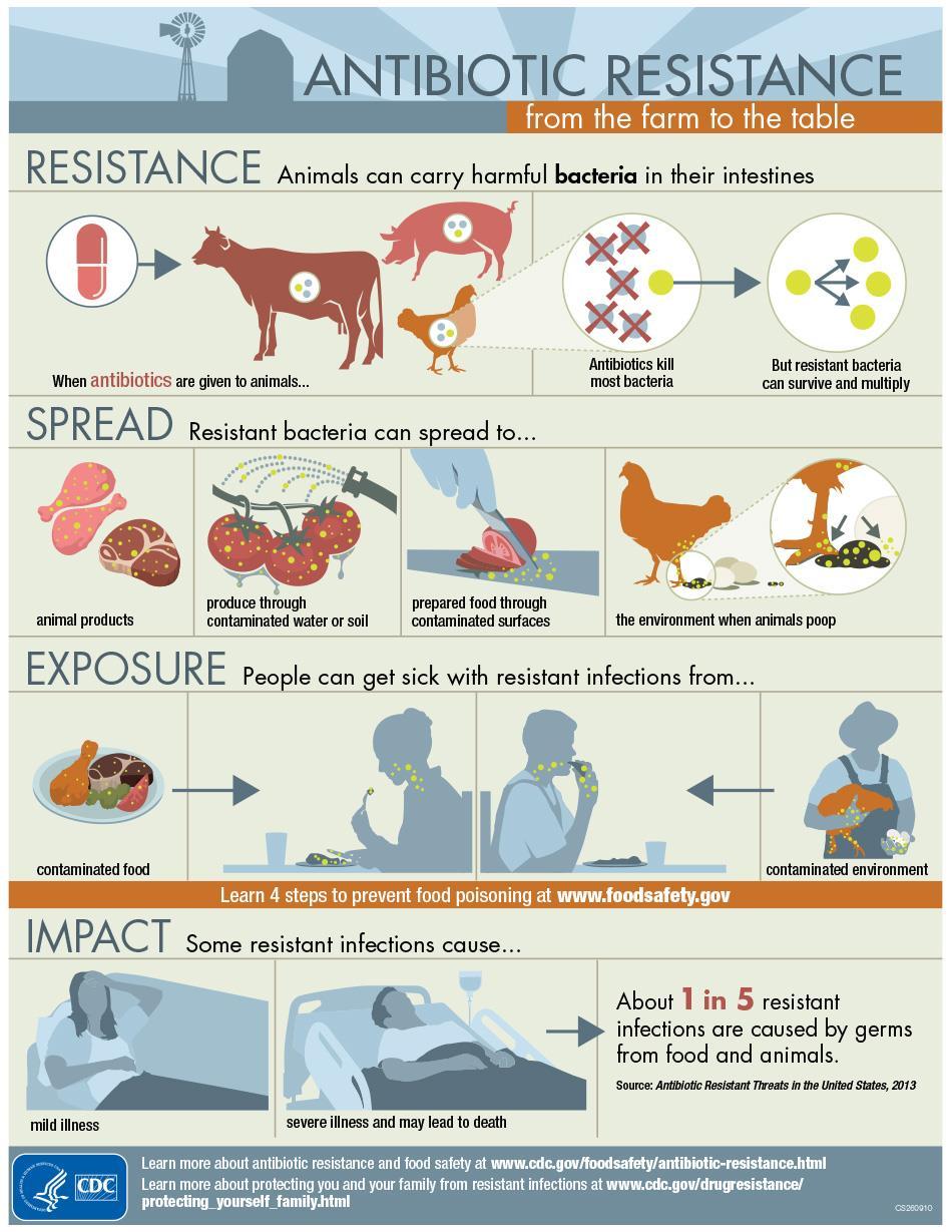 Drivers: food systems Up to 80% of antibiotics go to animals Little evidence of efficacy:
