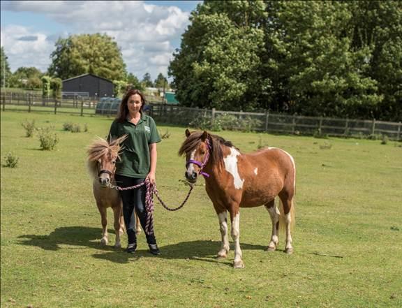 Case Study: Charlotte Job: Field & Small Animal Deputy Manager (dealing more with Field animals than Small animals) Role & Responsibilities: Managing a team of 9 Field Animal Staff and providing