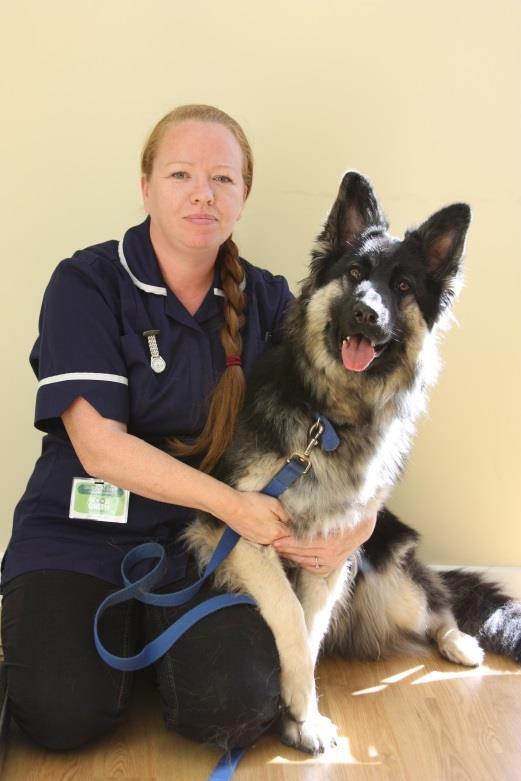 Case study: Debbie Job: Auxiliary Veterinary Nurse Assisting the Qualified Veterinary Nurses and Vets with daily procedures and day-to-day care of the animals, including giving medication and