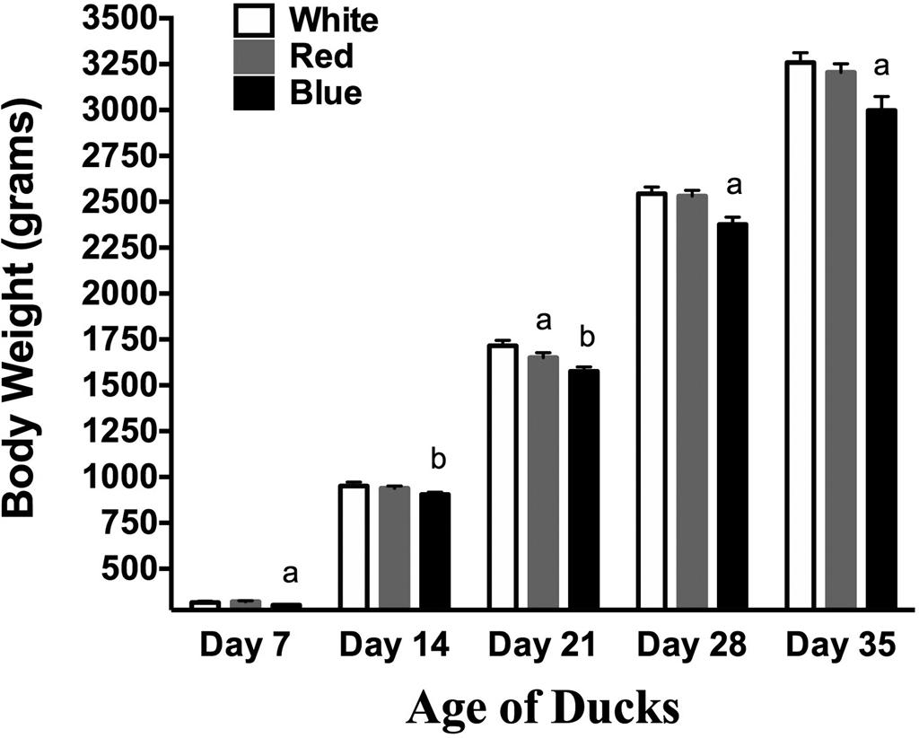 Statistical Analyses THE EFFECT OF COLORED LIGHTING ON PEKIN DUCKS DURING GROW-OUT 1753 Behavioral data were analyzed using the pen (n = 3/treatment) as the statistical unit using Kruskall Wallace