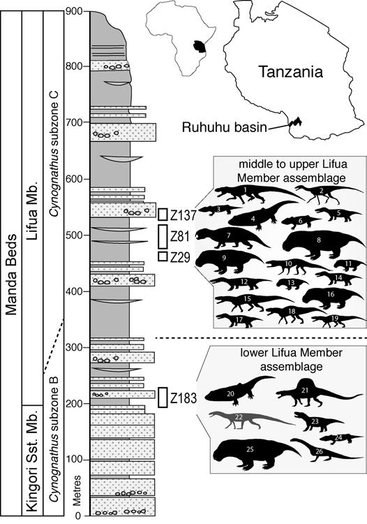 FIGURES Figure 1 Geographical and stratigraphical occurrence of Teleocrater rhadinus gen. et sp. nov. from the Ruhuhu Basin, southern Tanzania, Africa.