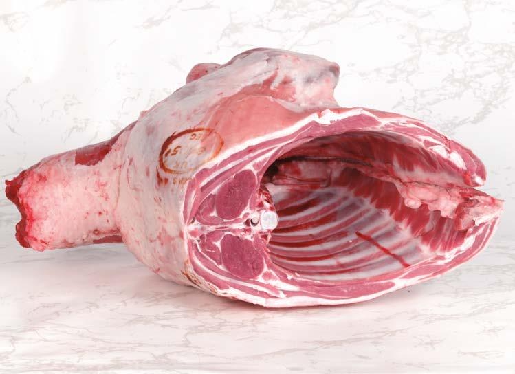 Short Fore Forequarter L001 Single Fore (rib cage removed) Forequarter L038 A