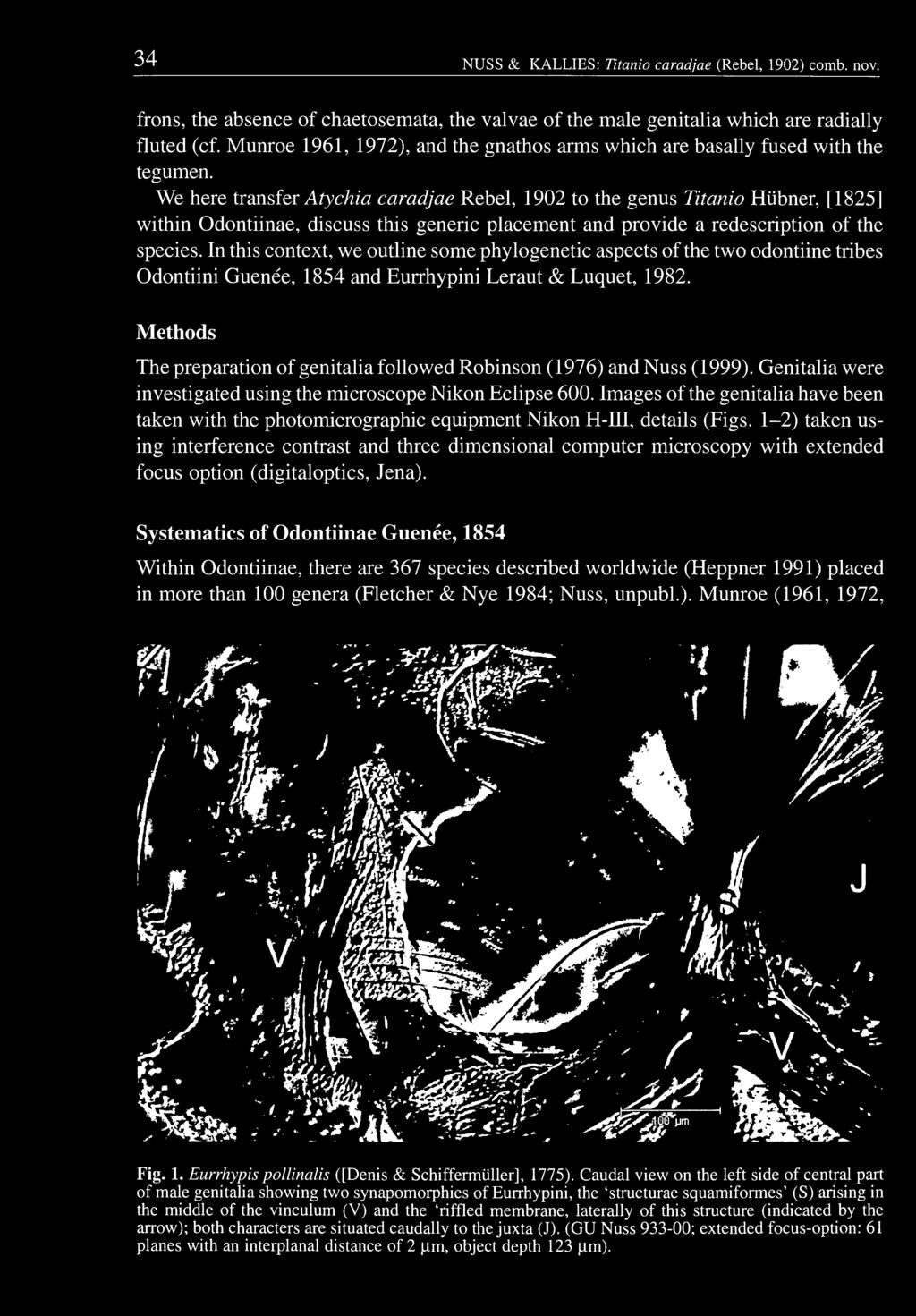 Methods The preparation of genitalia followed Robinson (1976) and Nuss (1999). Genitalia were investigated using the microscope Nikon Eclipse 600.