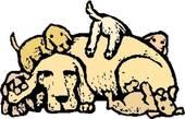 E. Read the following passage and answer the questions below. A mother dog gives birth to a litter of puppies. Usually there are between six and ten puppies in a litter.