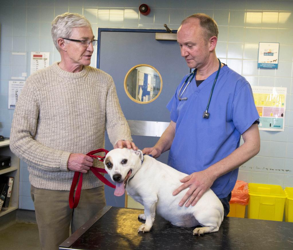 Programme Information Episode 1 Week 36 Paul O Grady is back at Battersea Dogs & Cats Home, meeting the latest residents that need treatment, training and ultimately new homes.