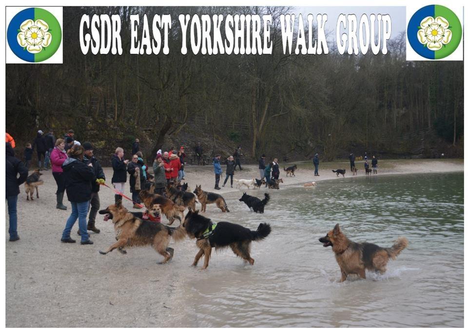 The East Yorks walk group have just celebrated their first anniversary in style with an