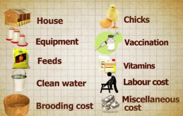 How do you do a budget? Item Budget Chicken house 60,000/= 5 feeding trays 2,500/= 10 drinkers 5,000/= 550 day- old chicks 33,000/= What is a rolling budget? 1. Find out your costs.