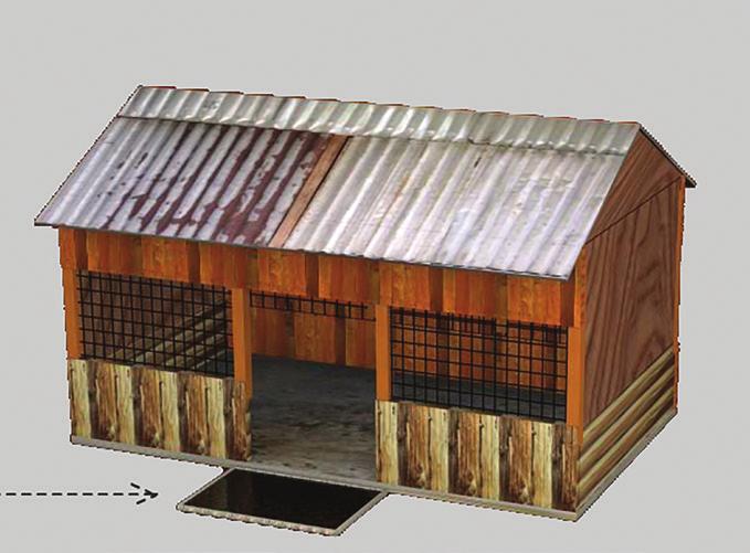 Building a chicken house A good chicken house will keep your chicken safe and healthy. Clean it every day.