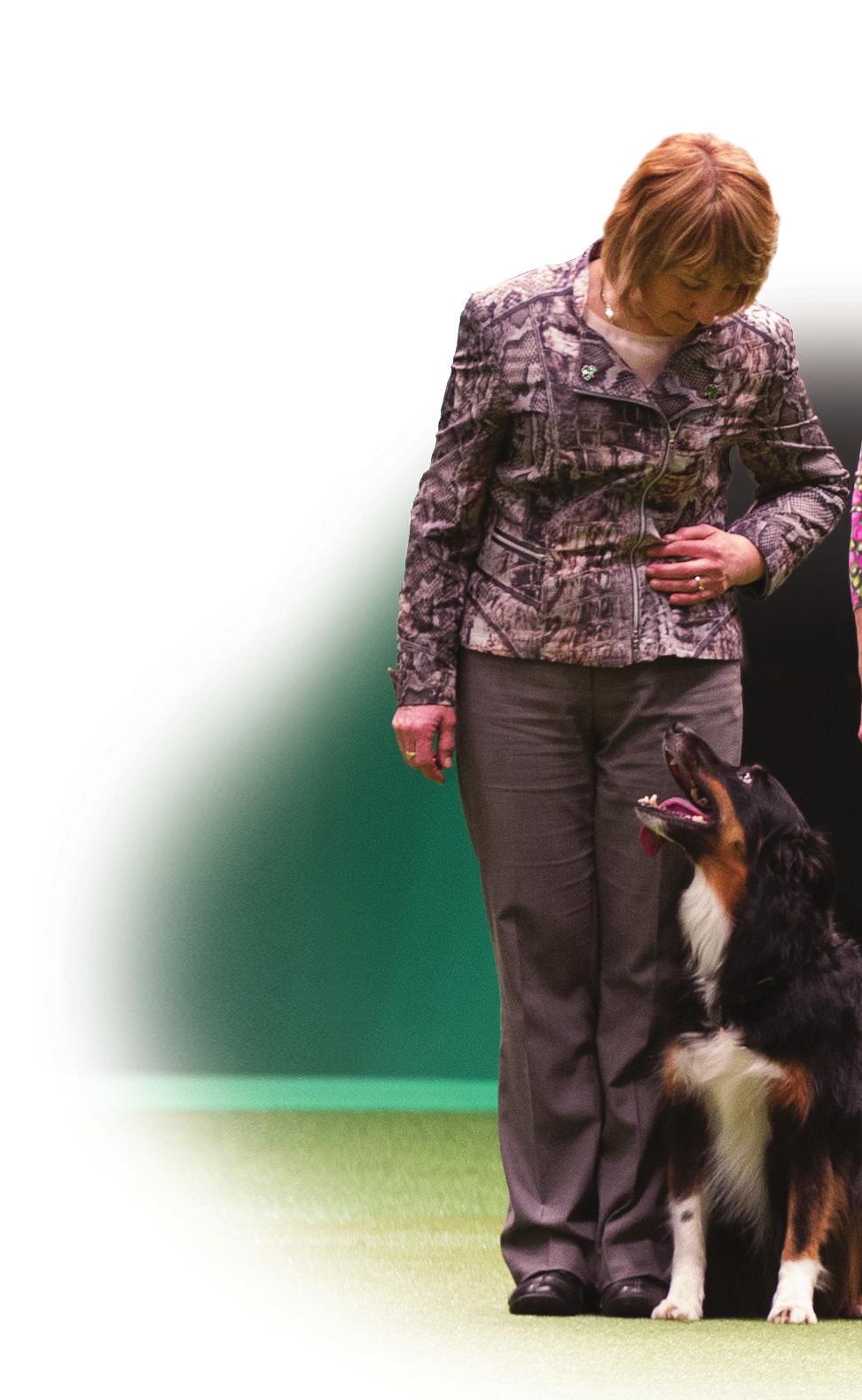 competition management profile and risk assessment to show evidence to suitability to hold a Kennel Club licenced show.