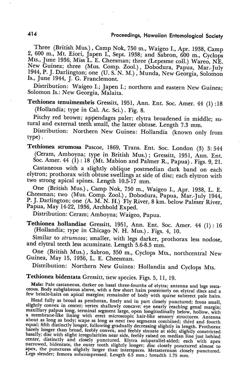 414 Proceedings, Howaiian Entomological Society Three (British Mus.), Camp Nok, 750 m., Waigeo 1., Apr. 1938, Camp 2, 600 m., Mt. Eiori, Japen I., Sept. 1938; and Sabron, 600 m., Cyclops Mts.