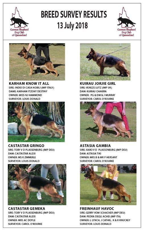 The GSDCQ has held four Breed
