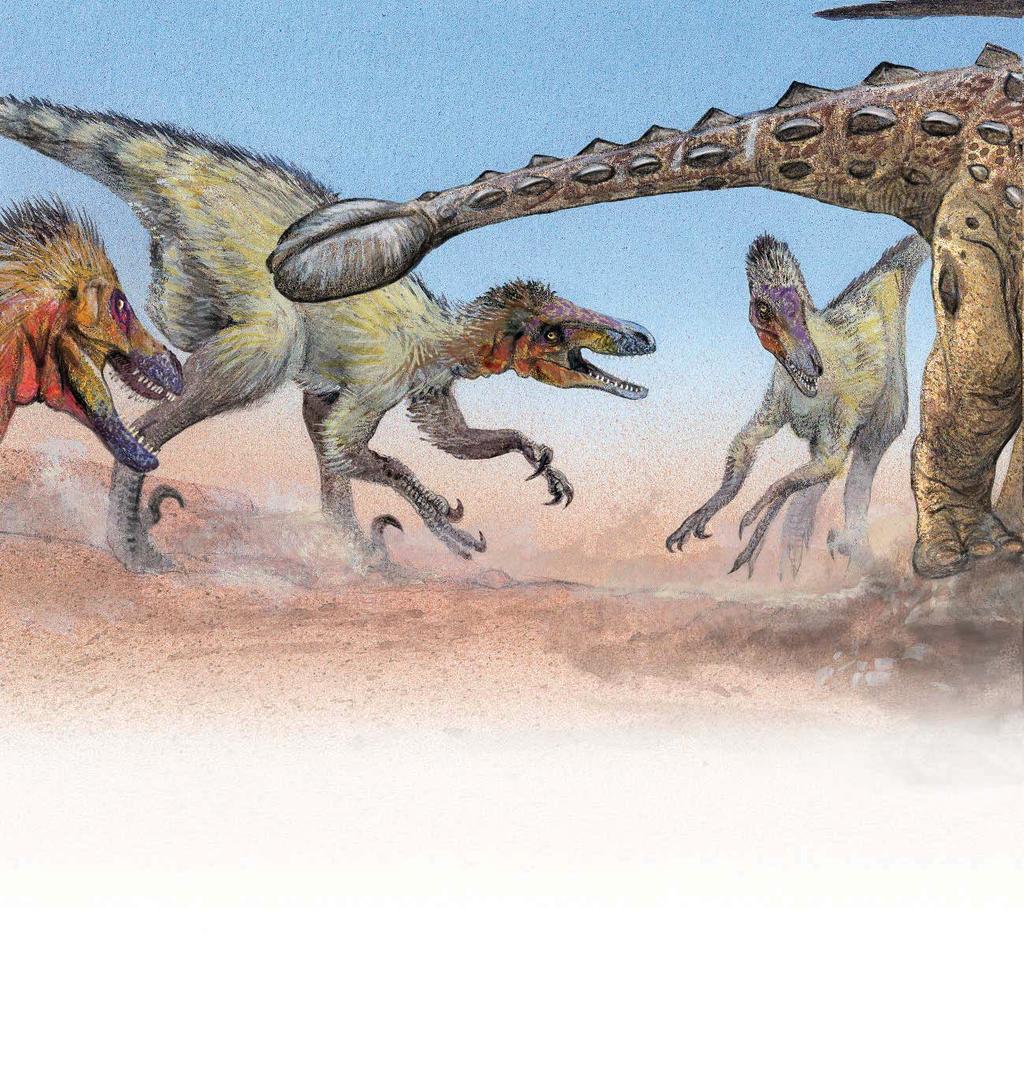 A pack of Velociraptor dinosaurs is hunting a young Pinacosaurus. The prey is only the size of a sheep.