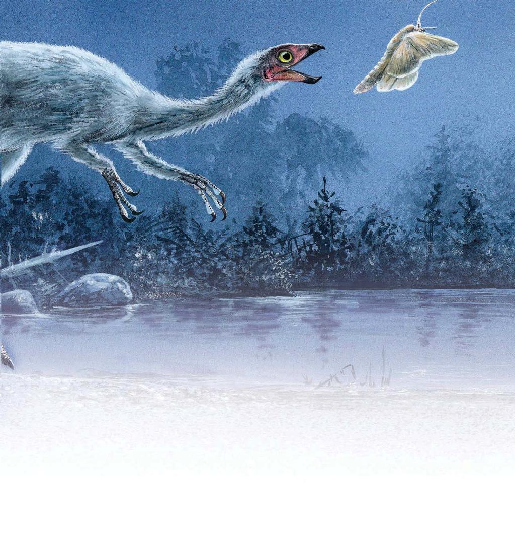 Scientists think that Ornithomimus chased down tiny creatures, such as lizards, mammals, and insects.