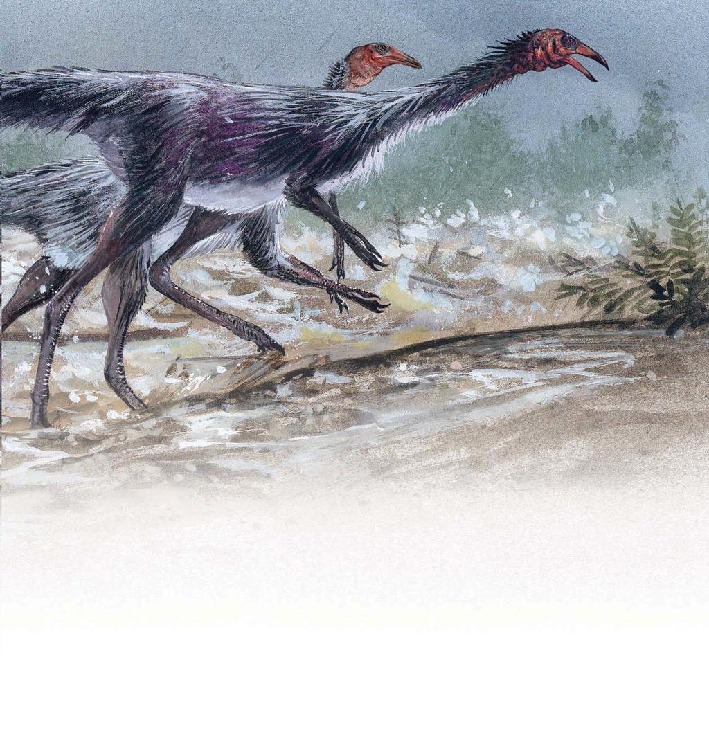 Struthiomimus was built for speed. It may have been the fastest dinosaur of all. How fast was it?