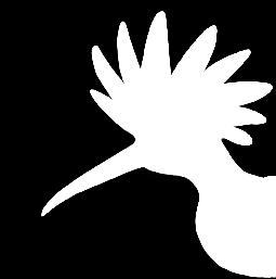 BirdWatch Ireland is the Irish partner of the global federation of bird