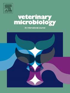 Title: Bacteriological and molecular investigations of Staphylococcus aureus in dairy goats Authors: T. Mørk, B. Kvitle, T. Mathisen, H.J. Jørgensen PII: S0-