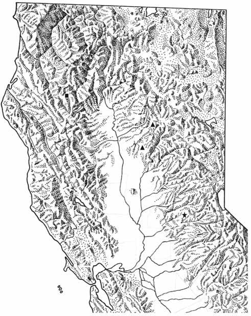 WILL: NEW SPECIES OF PTEROSTICHUS (LEPTOFERONIA) FROM CALIFORNIA 53 FIGURE 4. Northern California localities for Pterostichus blodgettensis, star; P. pemphredo, star; P. deino, triangle; D. P. enyo, square.