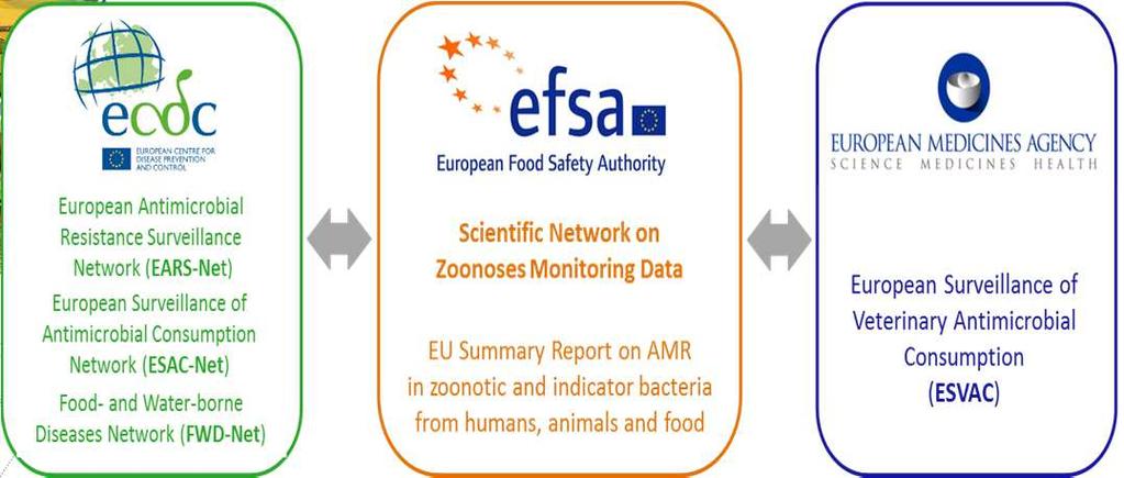 Consumption and Resistance Analysis (JIACRA) BACKGRUN escription of existing monitoring/surveillance systems 2011 and