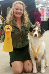 Page 3 Greenville Kennel Club News Members Brags - Continued Alex Elgin At the Australian Shepherd