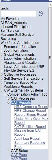 Effective Dates Business Unit Division (Optional) Department (Optional) Employee Class Process Outputs Excel document with a population that meets the run control criteria and has an error in the CAT.