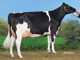 profile p The modern dairy cow maker AltaREGAL 011HO11138 COOMBOONA SUPER REGAL-IMP-ET SUPER X SHOTTLE HOAUSM000H01620990 DOB 9/8/2010 aaa DMS EFI 9.