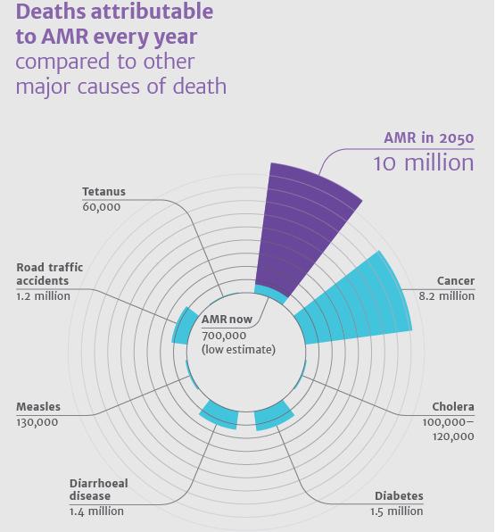 Antimicrobial resistance is a ticking time bomb as big a risk as terrorism.