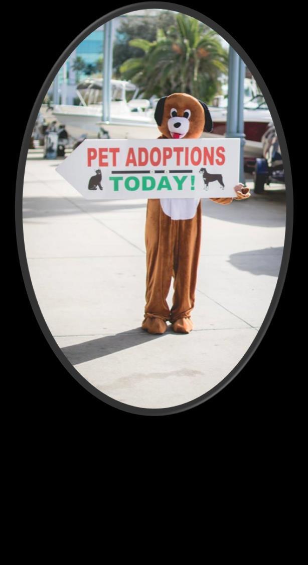 Adoption Events In 2016 we only missed two Saturdays of doing events. One as a result of a crazy monsoon and the second was on Christmas Eve.