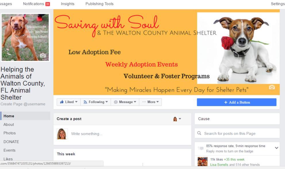 We created and maintain the Helping the Animals of Walton County Facebook page which helps us Make