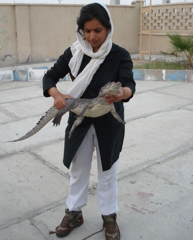 Her dissertation research project and main focus will be the phylogeny and molecular systematics of the genus Acanthodactylus (Sauria: Lacertidae) in the Iranian Plateau (an important and noticeable