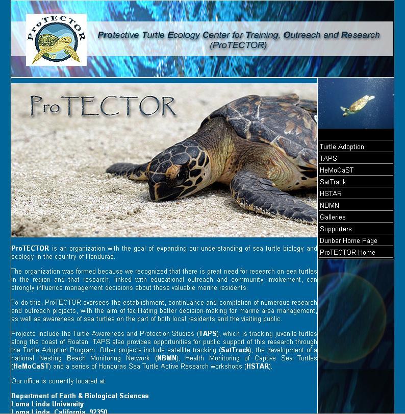 www.turtleprotector.