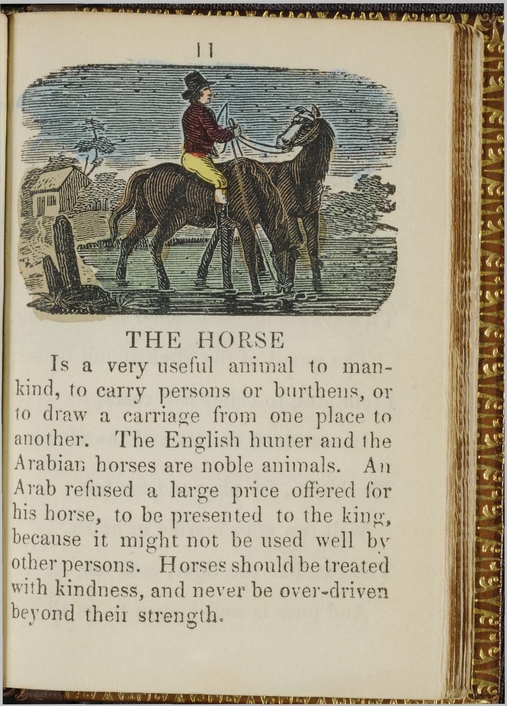 11 T H E H O RSE Is a very useful animal to mankind, to carry persons or burthens, or to draw a carriage from one place to another. The English hunter and the Arabian horses are noble animals.