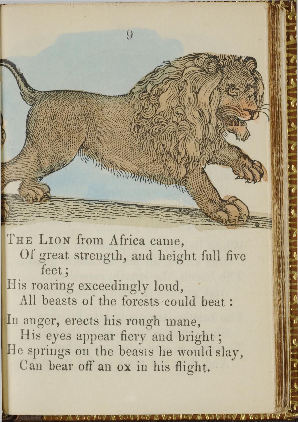 9 THE L ION from Africa came, Of great strength, and height full five feet; His roaring exceedingly loud, All beasts o f the forests could b ea