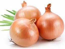 chicken bones - Onions and onion powder - Macadamia nuts