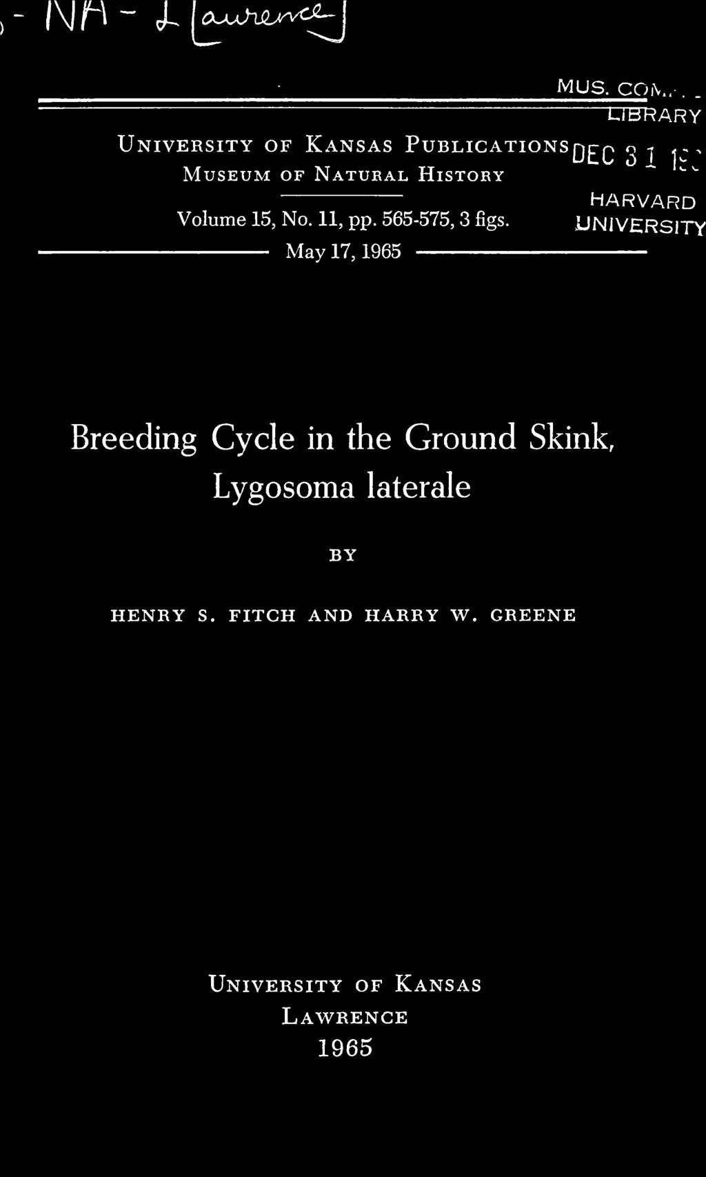 May 17, 1965 Breeding Cycle in the Ground Skink,