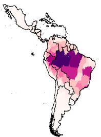 Yellow fever in South America Rapid endemic zone
