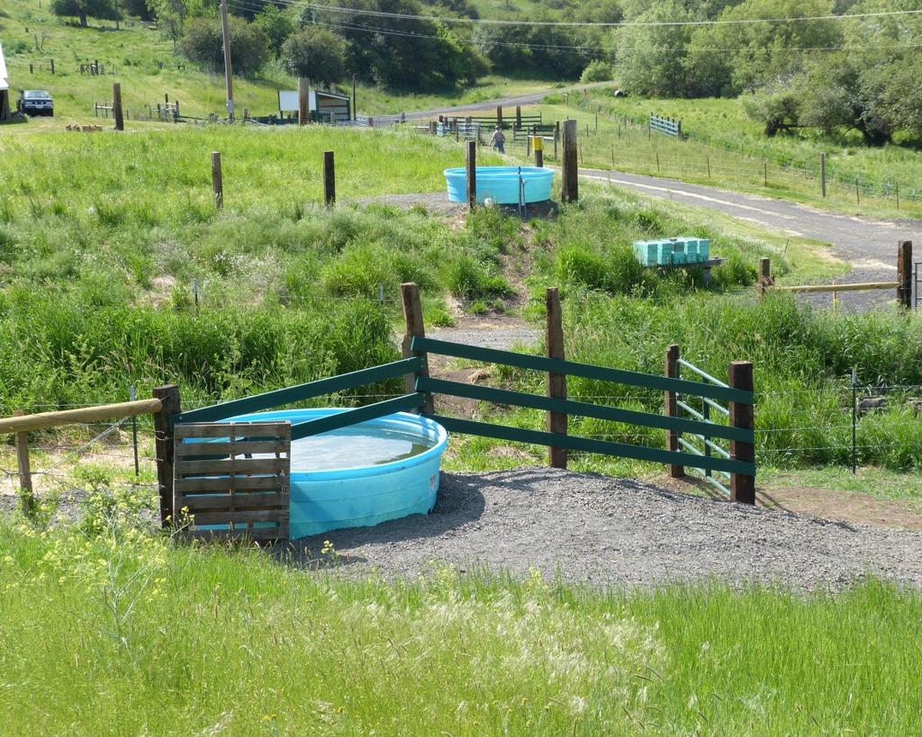 Along with the spring development, the riparian areas were fenced so managed grazing can take place to maintain the best grass cover and protect the water sources.