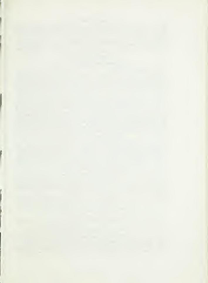 CATALOGUE OF MAMMAL TYPES 107 (old nos. R12317, 56441). There should be two paralectotypes, but these have not been located.