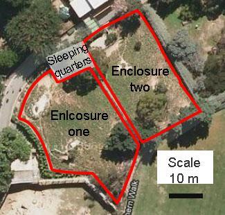 The Wellington Zoo exhibit was approximately 0.16 hectares, which was divided into two enclosures with a housing building adjoining them (Fig. 3.2).