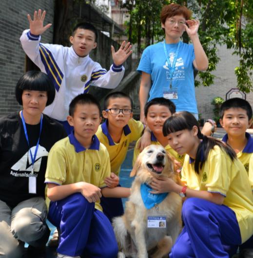 Dr Dog Adi Presented with International Award Adi, a Dr Dog in Guangzhou, used to have a difficult life.