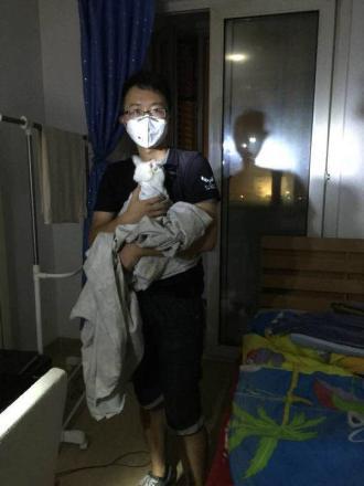 A volunteer found a lost cat in an empty apartment Volunteers searching through the affected area Taishan Small Animal Protection Association Taishan Small Animal