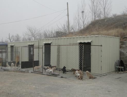 Animals Asia funded two NGOs from Shanghai and Shi Jiazhuang for their TNR (Trap-Neuter-Release)